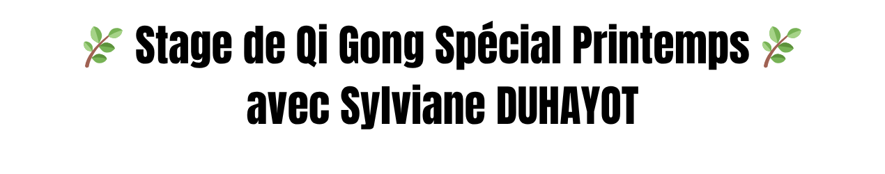 bannière hello asso spectacle (1920 x 250 px) (1)