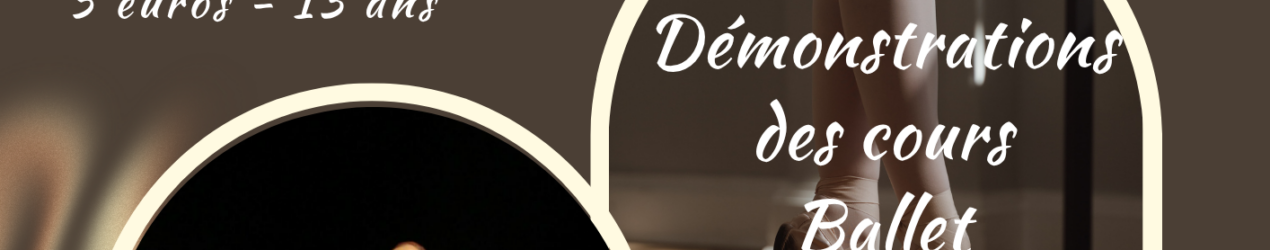 Spectacle sur les émotions (3)